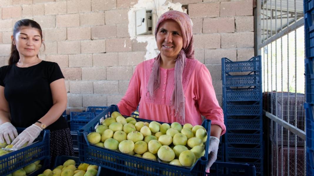 Kilosu 85 liradan satılıyor: Türkiye'nin dört bir yanından siparişe yetişemiyorlar 6